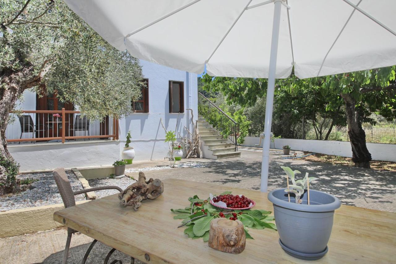 Skopelos Evergreen Apartments Стафилос Екстериор снимка