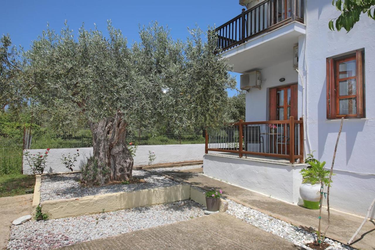 Skopelos Evergreen Apartments Стафилос Екстериор снимка