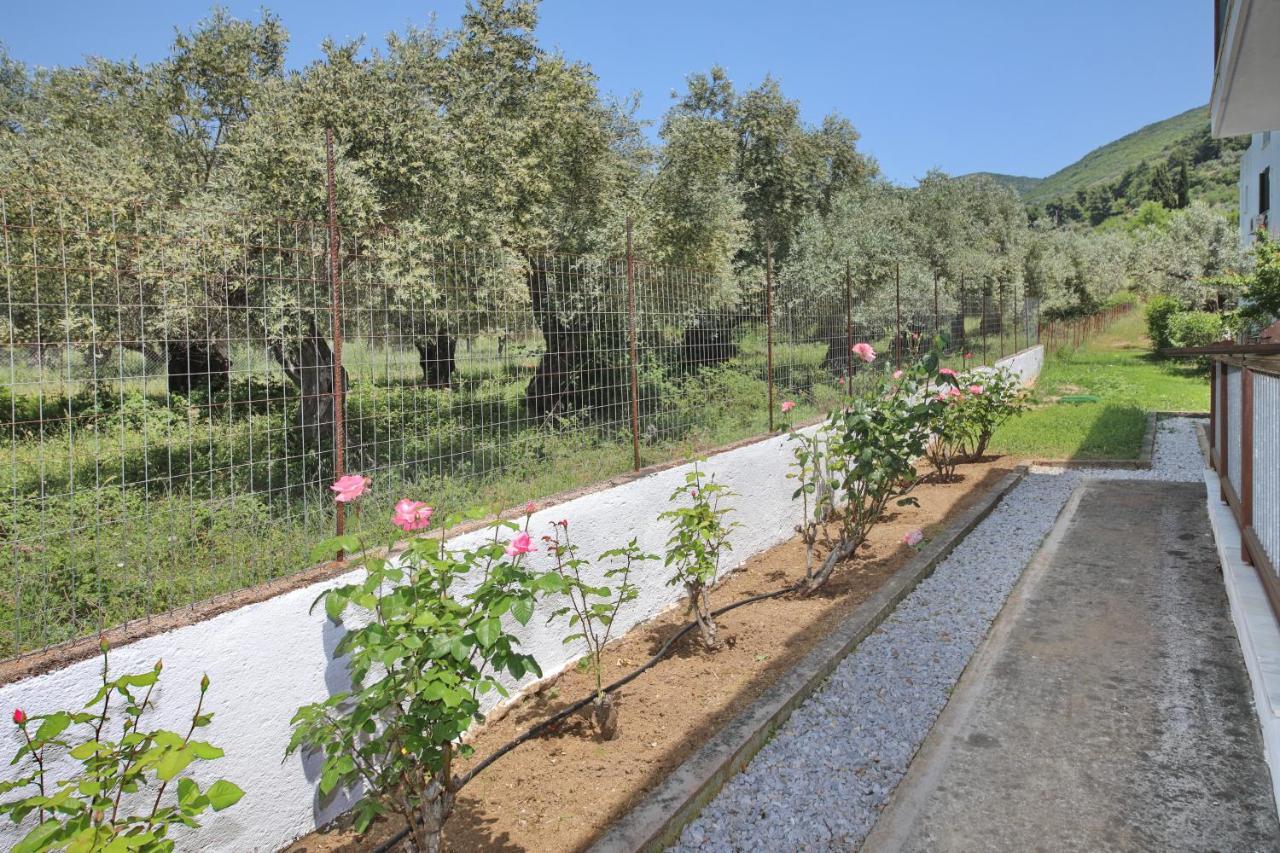 Skopelos Evergreen Apartments Стафилос Екстериор снимка