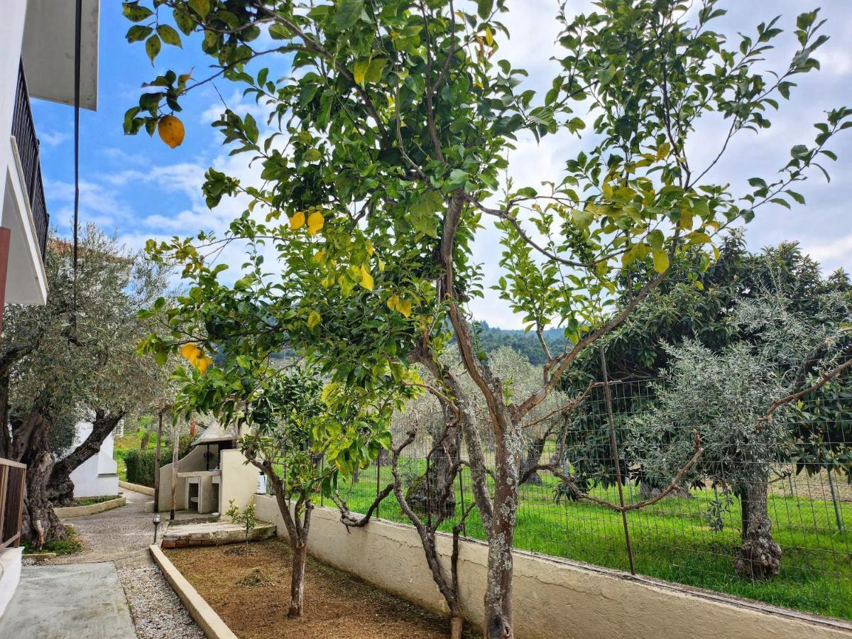 Skopelos Evergreen Apartments Стафилос Екстериор снимка