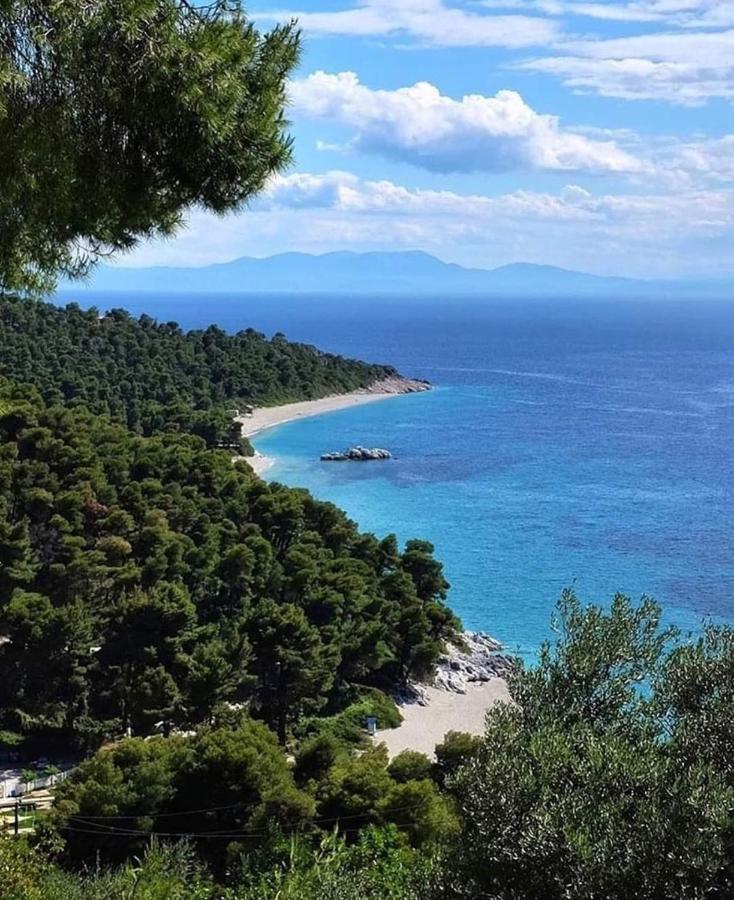 Skopelos Evergreen Apartments Стафилос Екстериор снимка