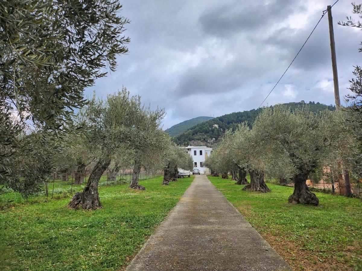 Skopelos Evergreen Apartments Стафилос Екстериор снимка